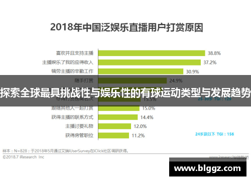 探索全球最具挑战性与娱乐性的有球运动类型与发展趋势